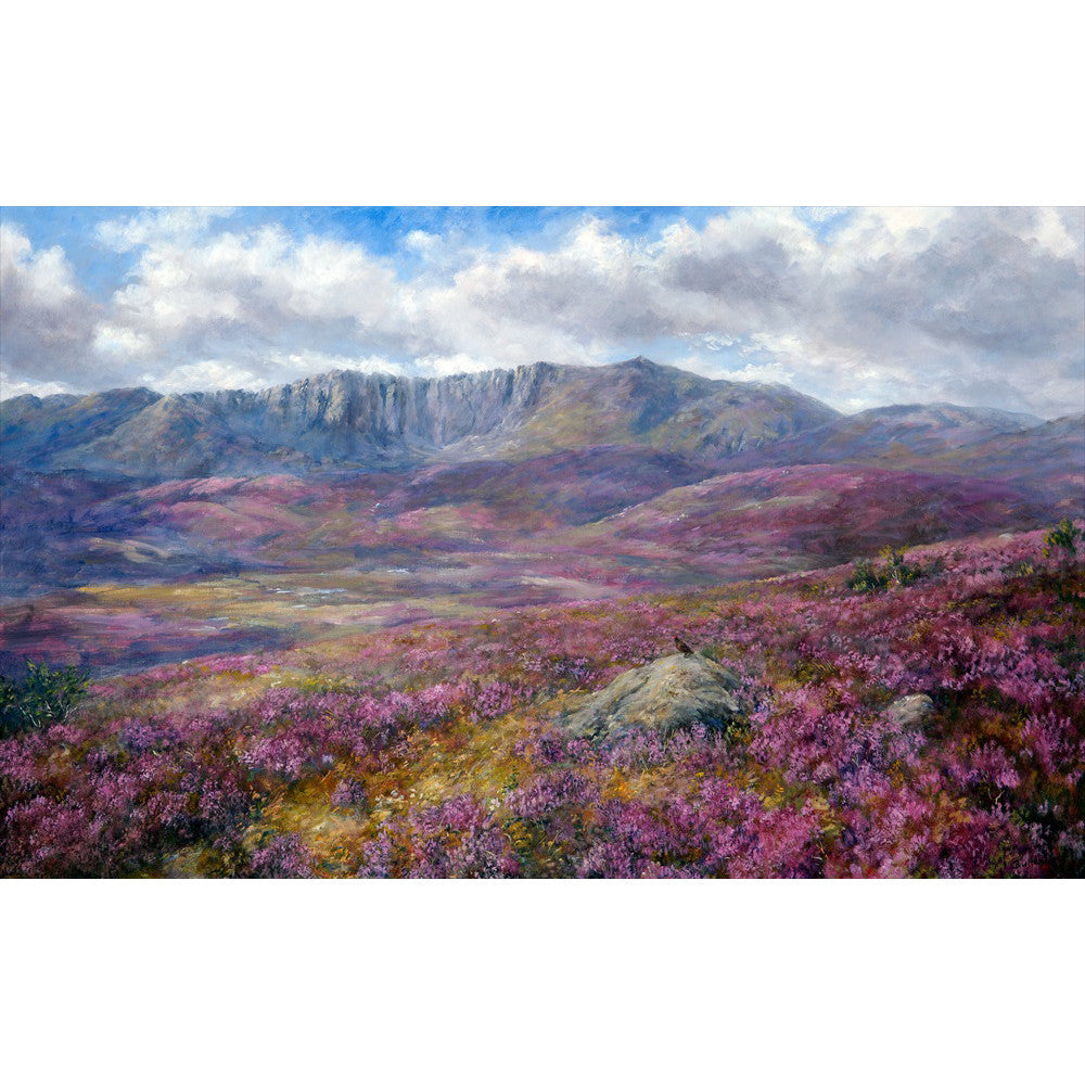 Across heather moors towards Lochnagar in Royal Deeside, near Balmoral in the Cairngorms National Park. This mountain is a popular munro with visitors that travel to Scotland to enjoy the hobby of munro bagging. This signed print is by Howard Butterworth. Scottish Art, Scottish Fine Art,
