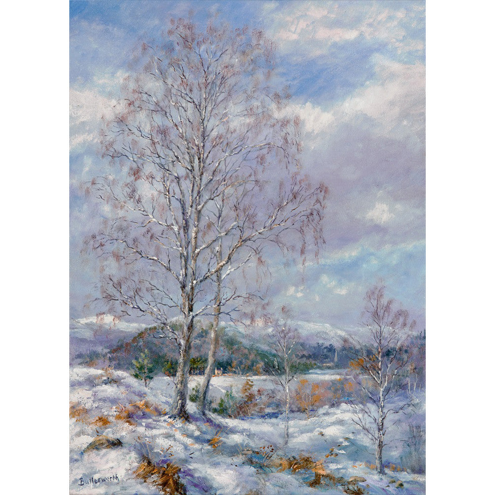 Snow covered silver birches and mountains painted by Howard Butterworth from his Garden in Glenmuick on Royal Deeside. Ballater can be seen in the distance.