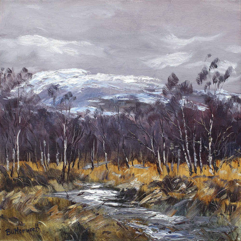 'Winter Idyll' - Fine Art Print of The Cairngorms