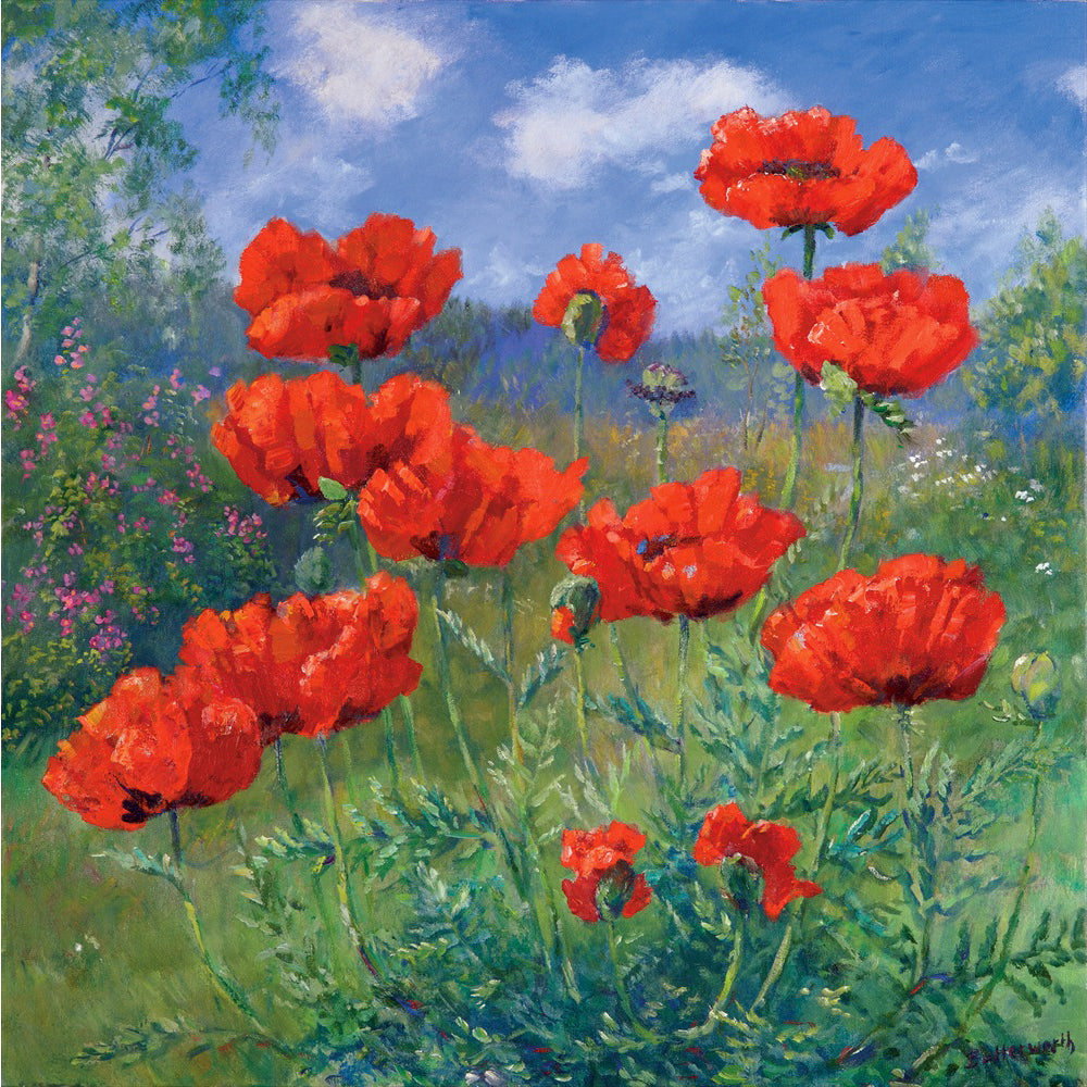 Online Gallery & Shop