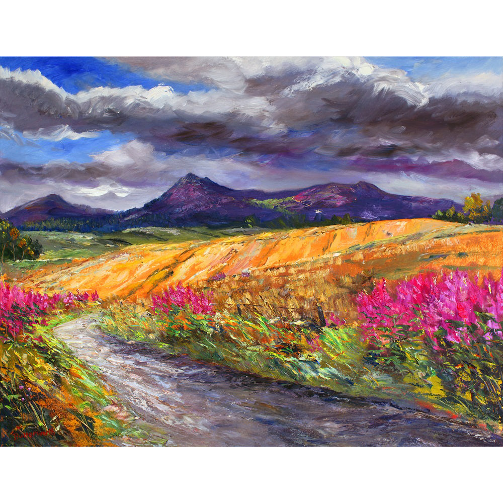 Bennachie & Donside
