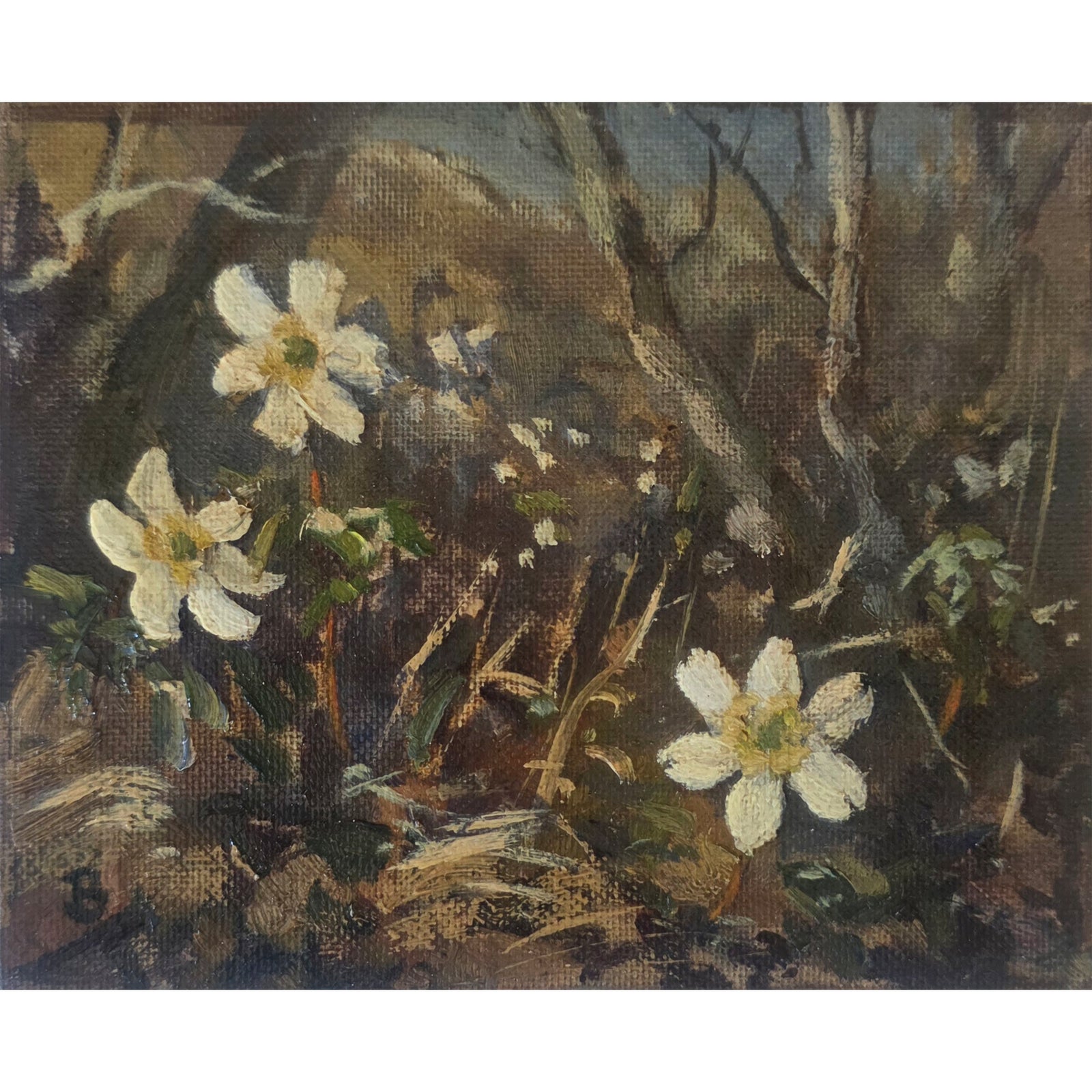 'Wood anemones at the cottage' - Original oil painting