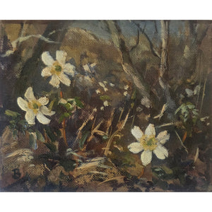 'Wood anemones at the cottage' - Original oil painting