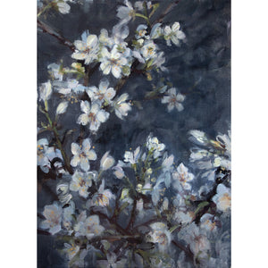 'Begin Again' - Fine Art Print of Blossom