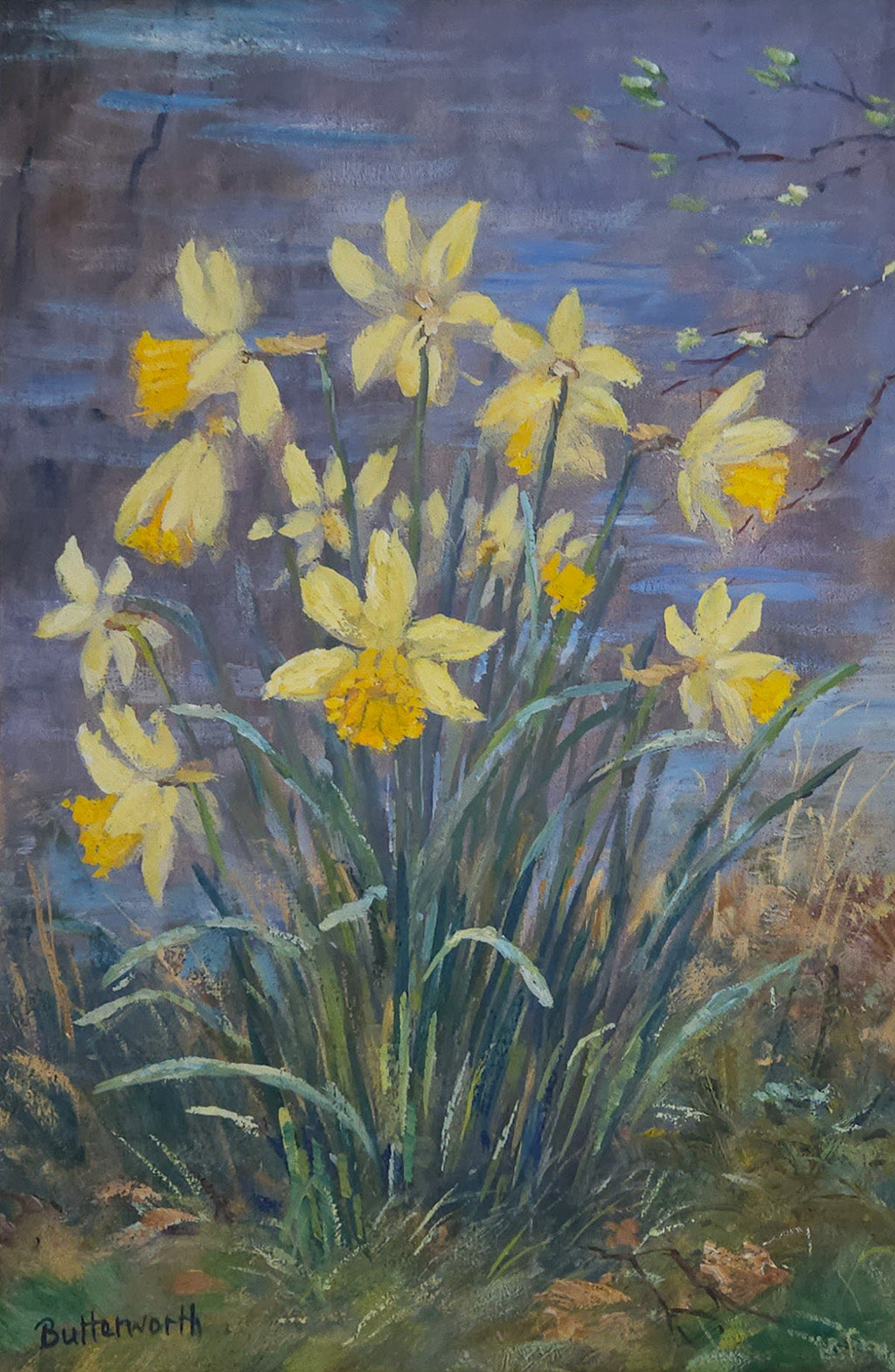 Oil painting of Scottish Daffodils by the pond by aberdeenshire artist Howard Butterworth