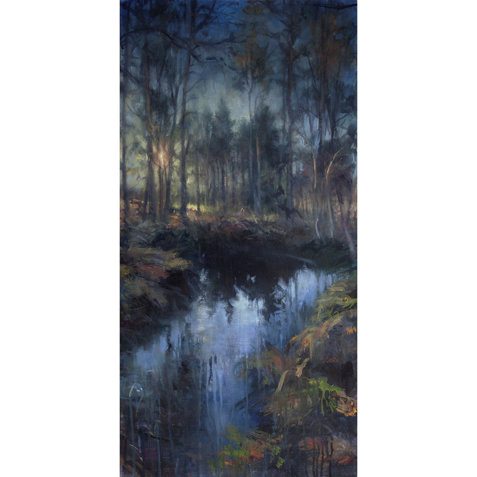 'Dawn at the forest pool' - Fine Art Print