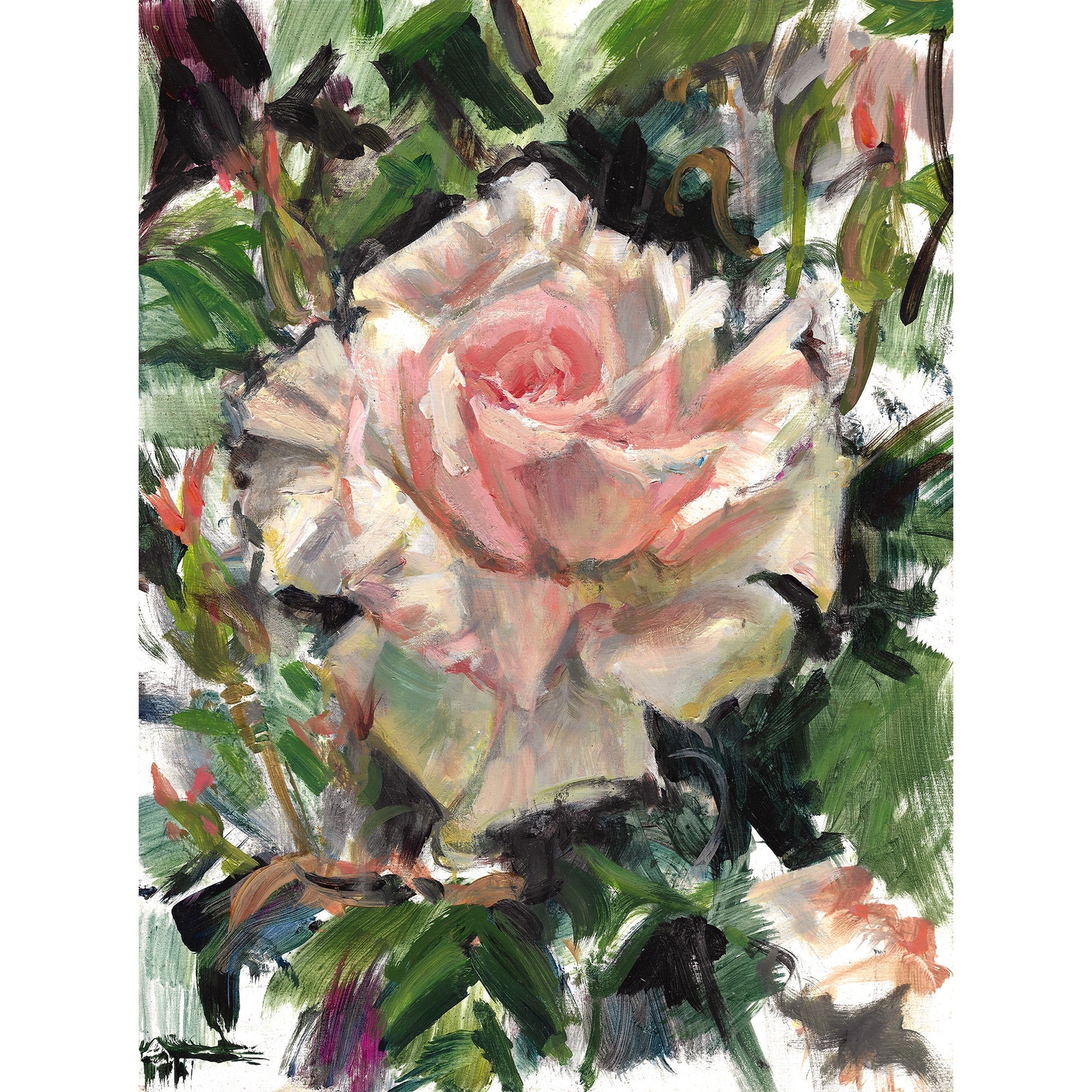 'Garden rose' - Original painting