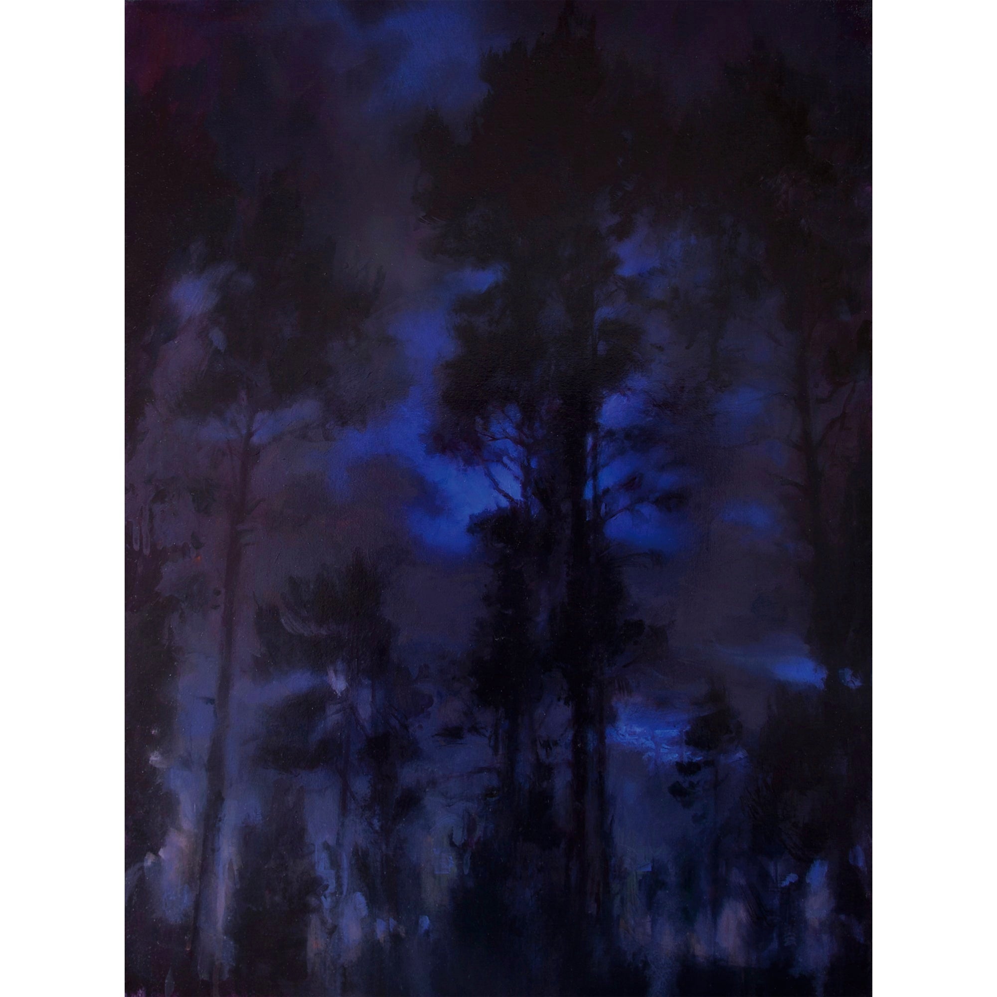 'Guardians' - Fine Art Print of Caledonian Pine Tree Forest