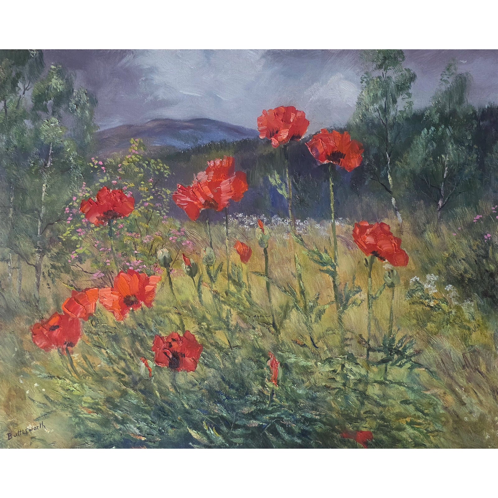 'Poppies' - Original oil painting