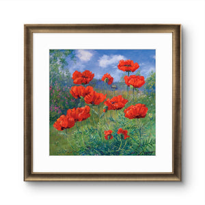 'Poppies' - Fine Art Print