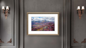 'Free Range' - Fine Art Print of Lochnagar