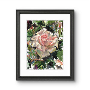 'Garden Rose' - Fine Art Print