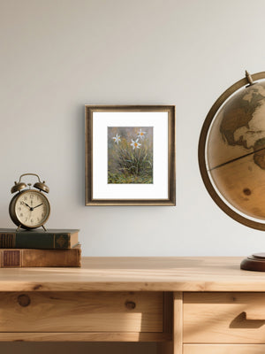 'Narcissi' = Fine Art Print of Flowers