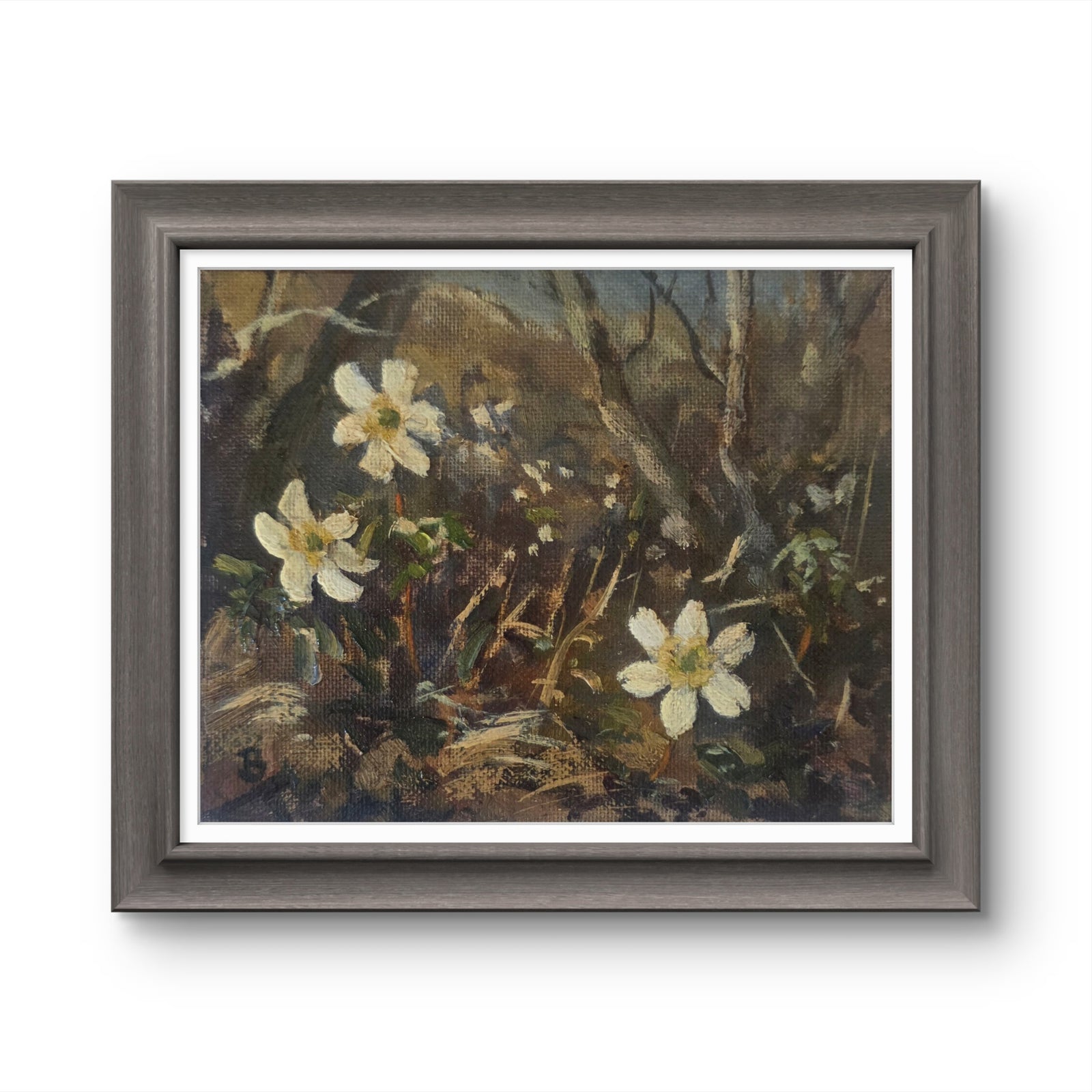 'Wood anemones at the cottage' - Original oil painting