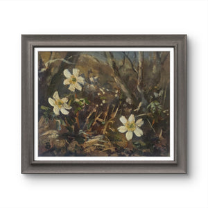'Wood anemones at the cottage' - Original oil painting