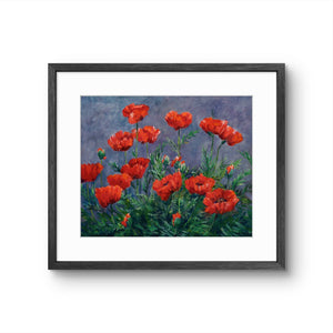 'Chiaroscuro' - Fine Art Print of Poppies