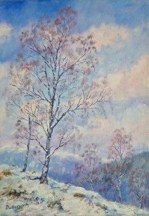 Birches in Snow