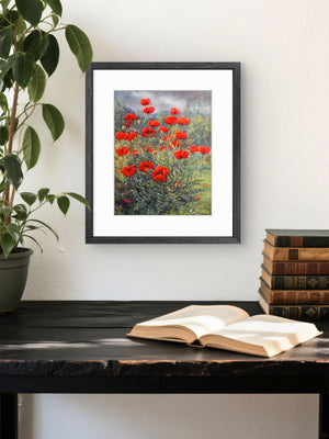 'Glenmuick Poppies' - Fine Art Print