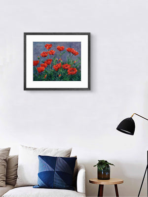 'Chiaroscuro' - Fine Art Print of Poppies