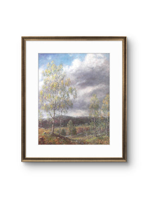'Spring Birches' - Fine Art Print of Glenmuick