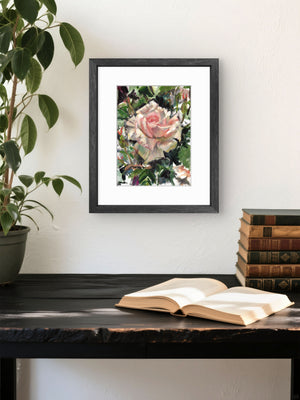 'Garden Rose' - Fine Art Print