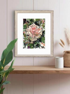 'Garden Rose' - Fine Art Print