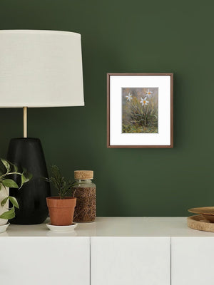 'Narcissi' = Fine Art Print of Flowers