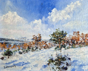 Sunlit Snows in Glenmuick