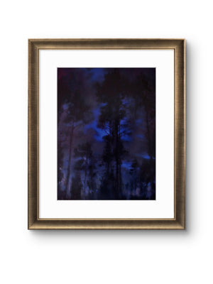 'Guardians' - Fine Art Print of Caledonian Pine Tree Forest