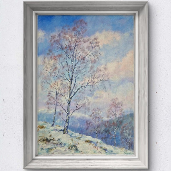 Birches in Snow
