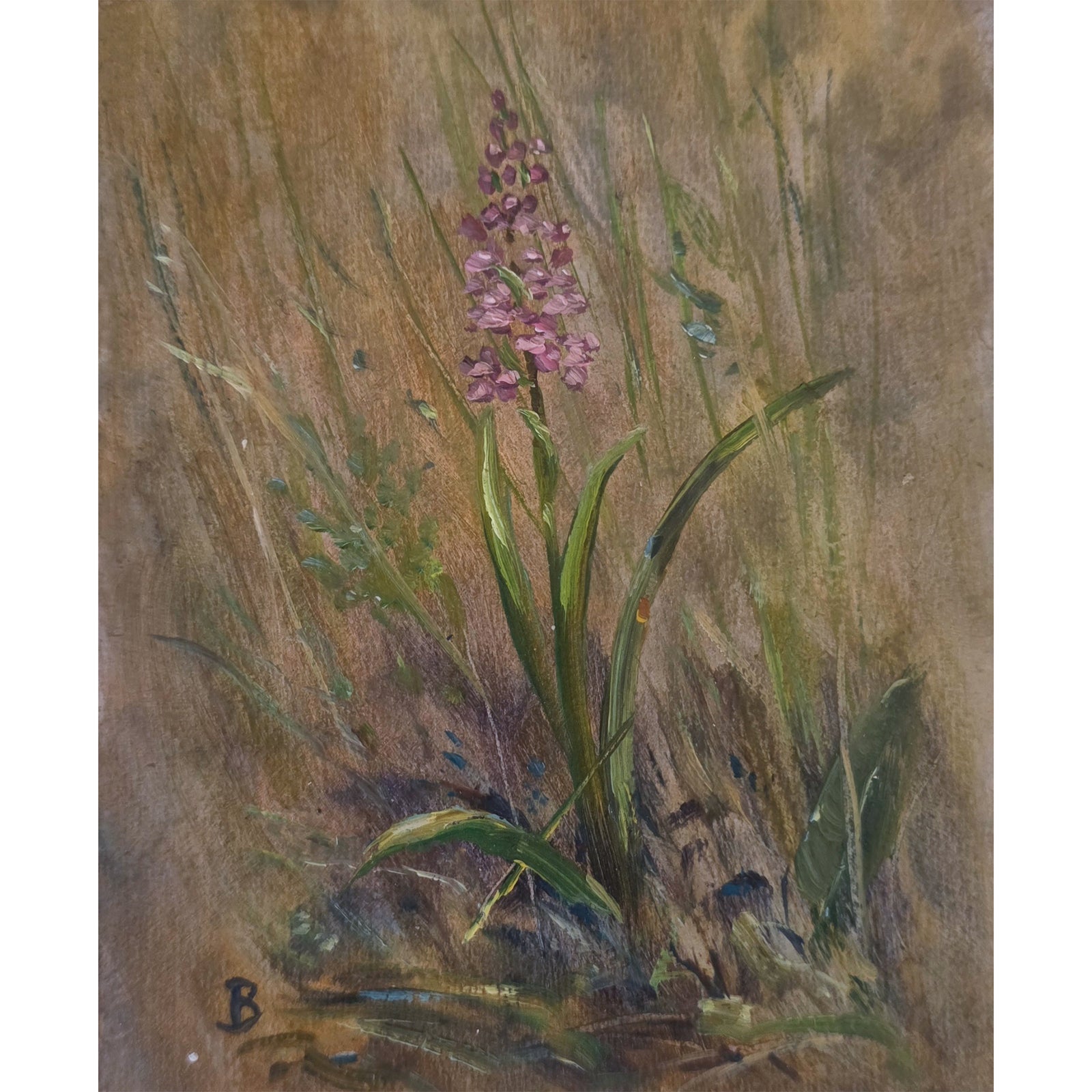 'Wild orchid' - Original oil painting