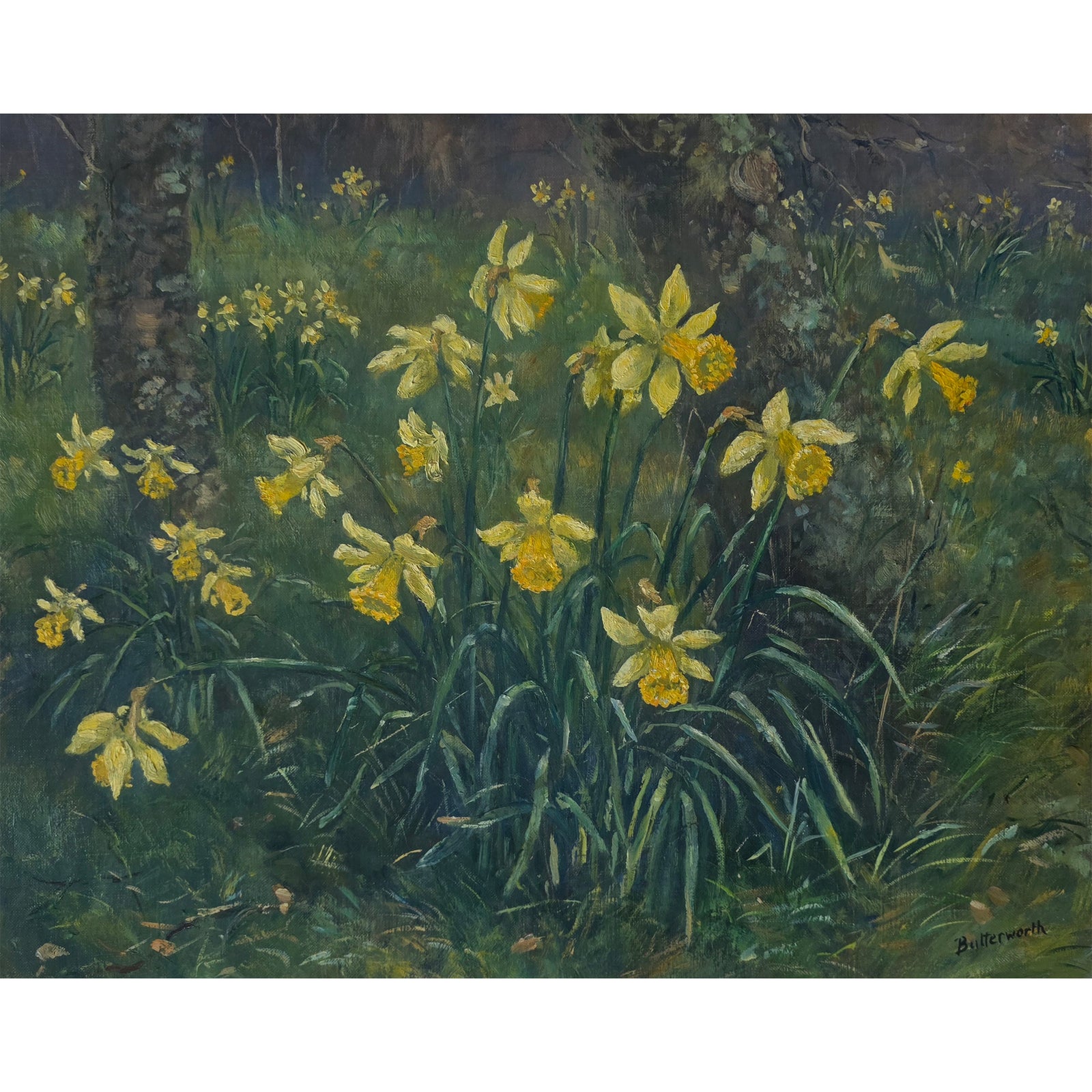 'Woodland daffodils' - Original oil painting