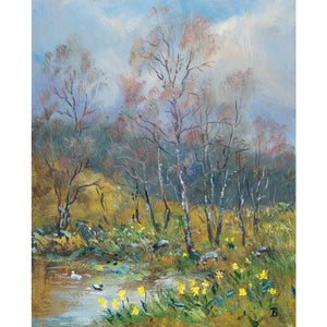 Birches and Daffodils in the artists garden in Glenmuick, Ballater Royal Deeside. This image is a greeting card by Howard Butterworth Available to purchase from The Scottish Fine Art Gallery in Aberdeenshire