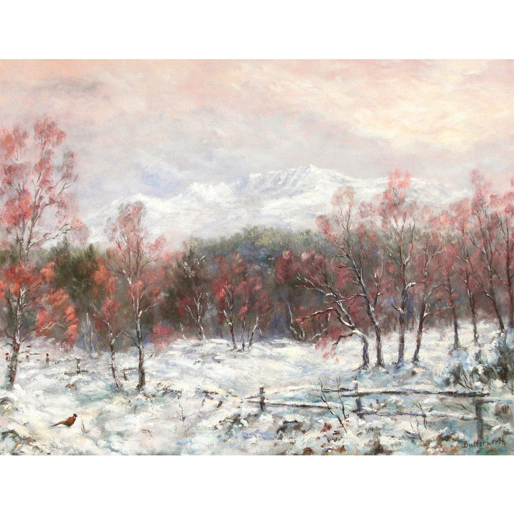 'A Bird's Eye View' - Fine Art Print of Lochnagar