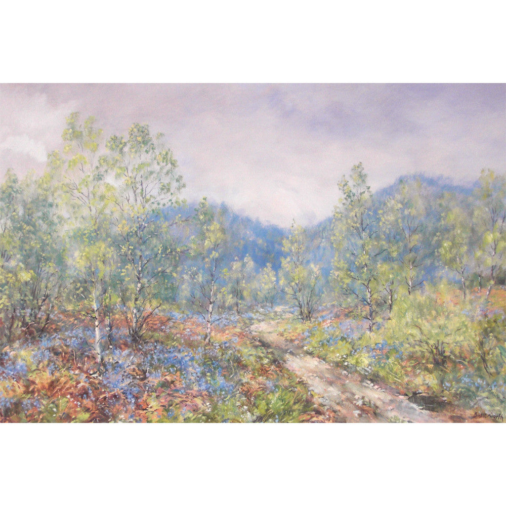 'Bluebells and Birches' - Fine Art Print