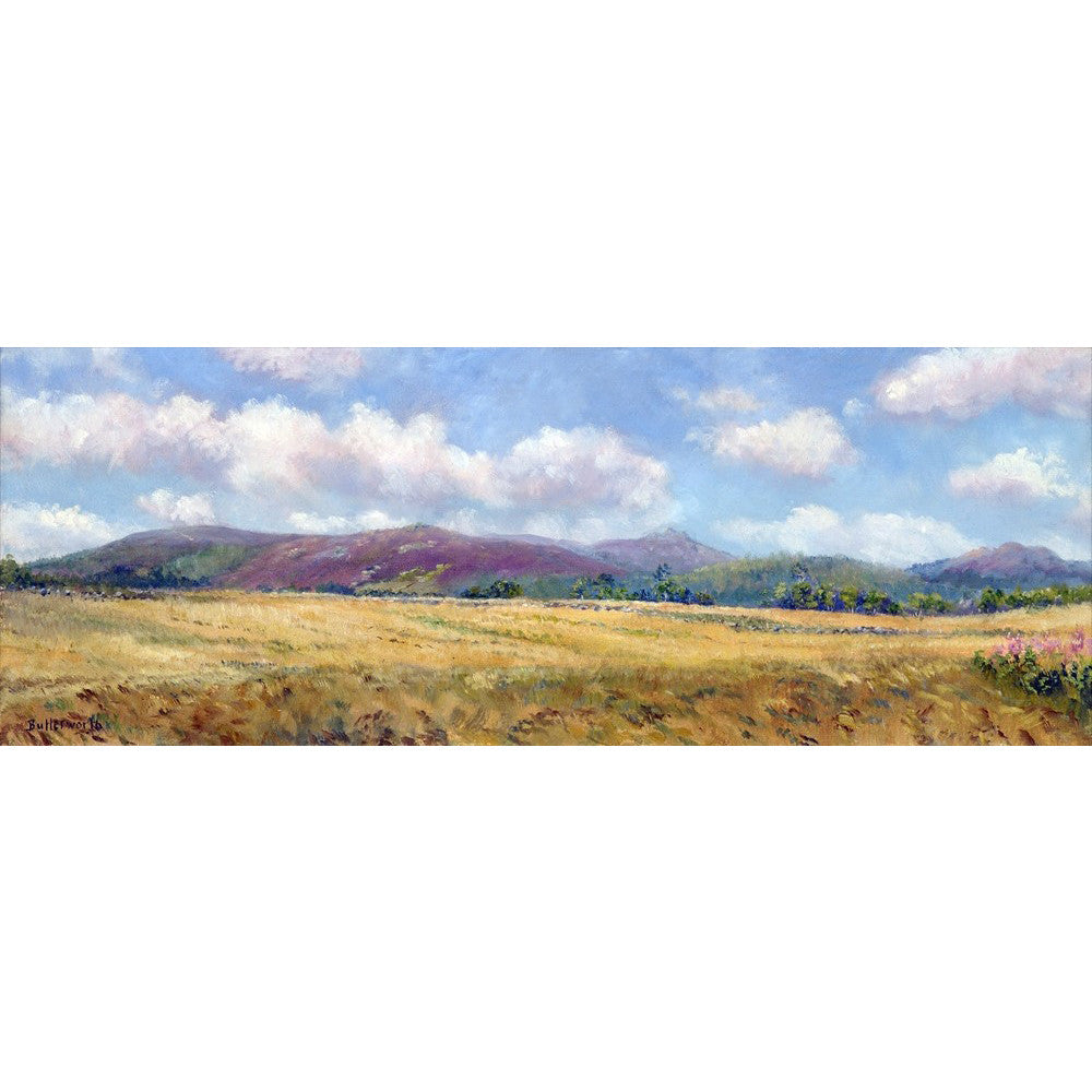 'Fields of Gold' - Fine Art Print of Bennachie