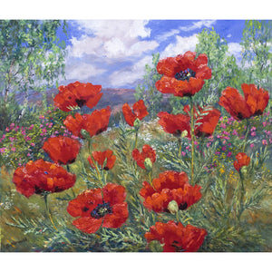 Bright red Californian Poppies painted by Ballater artist Howard Butterworth in his garden on Royal Deeside