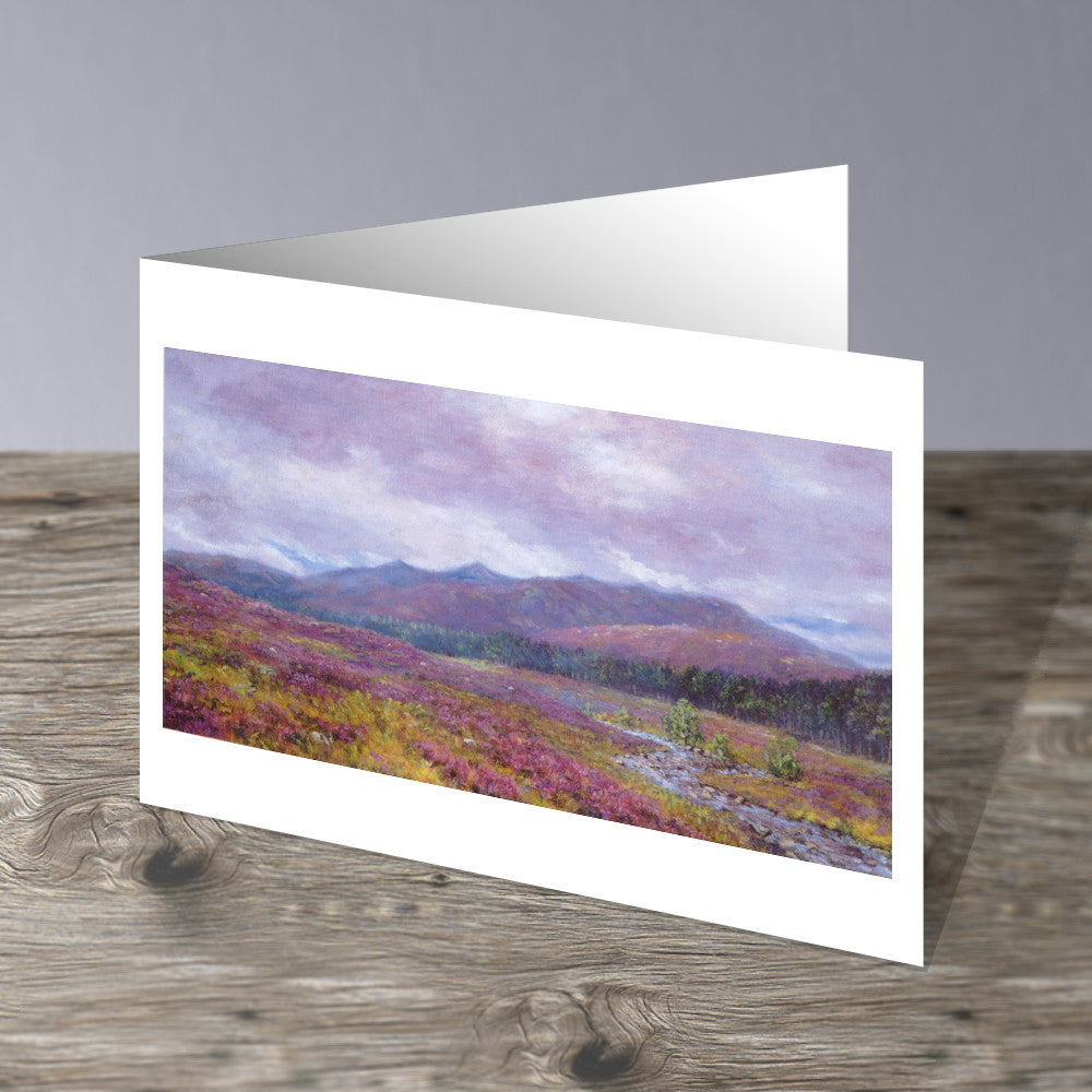 Heather in Glenmuick