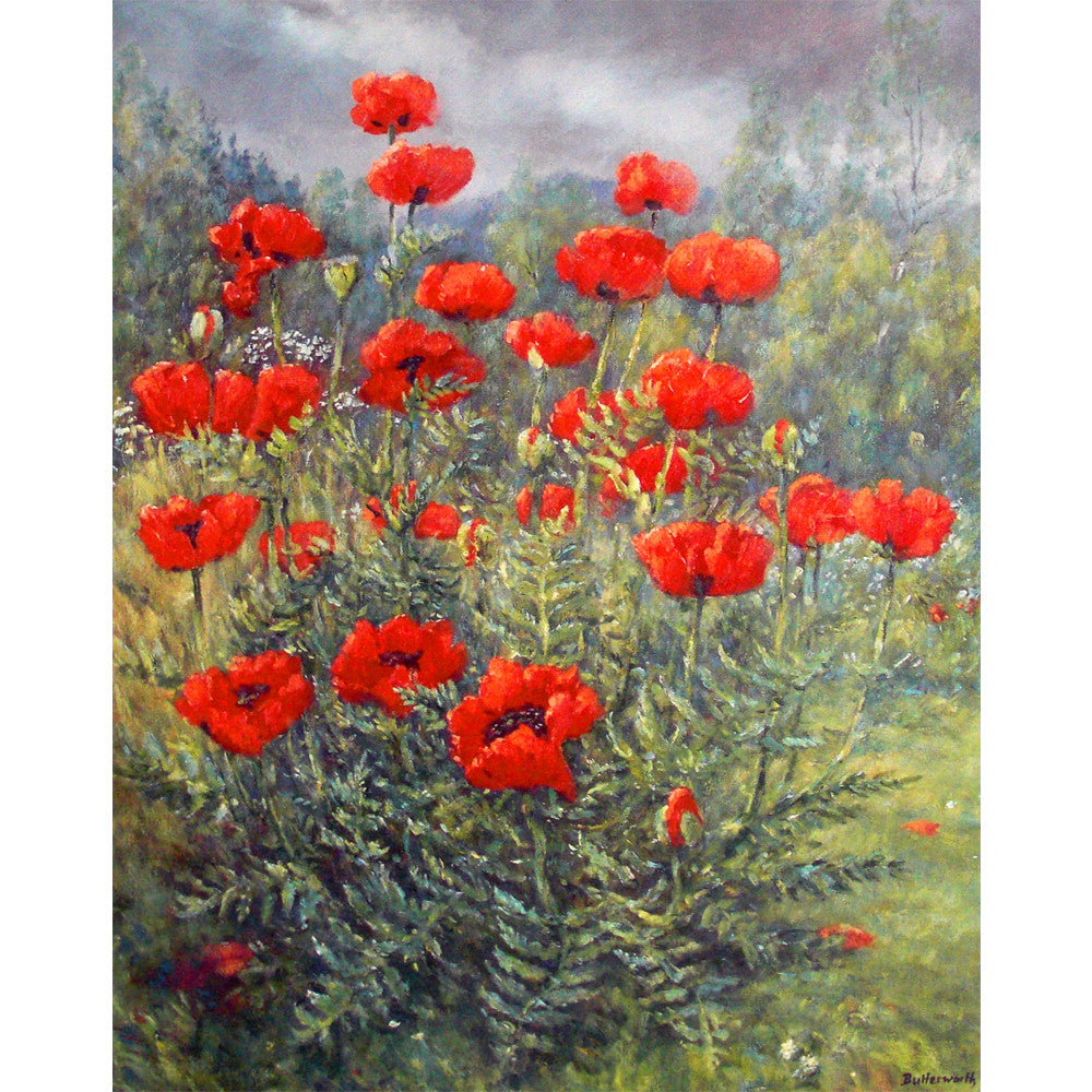 'Glenmuick Poppies' - Fine Art Print