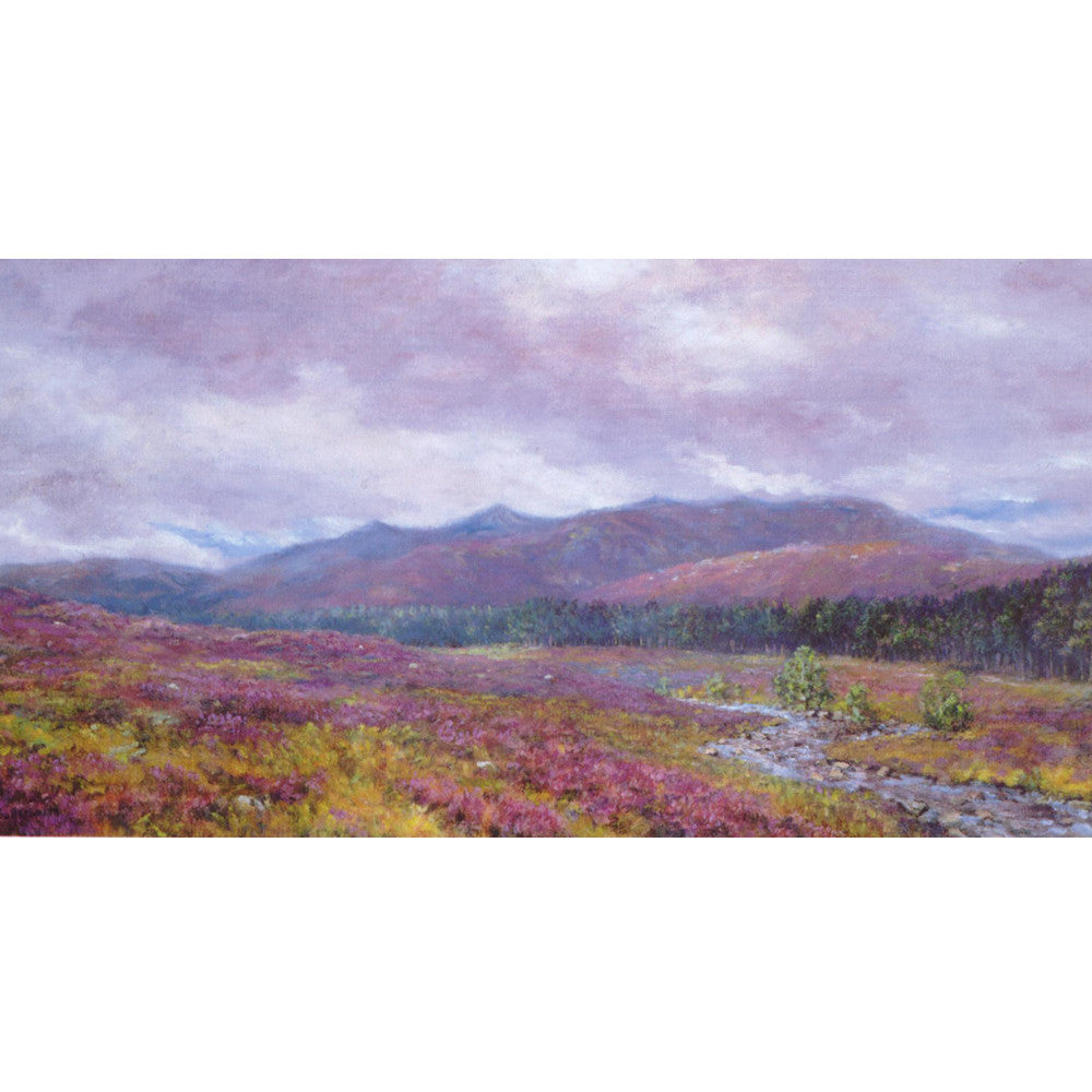 'Glenmuick' - Fine Art Print of Heather