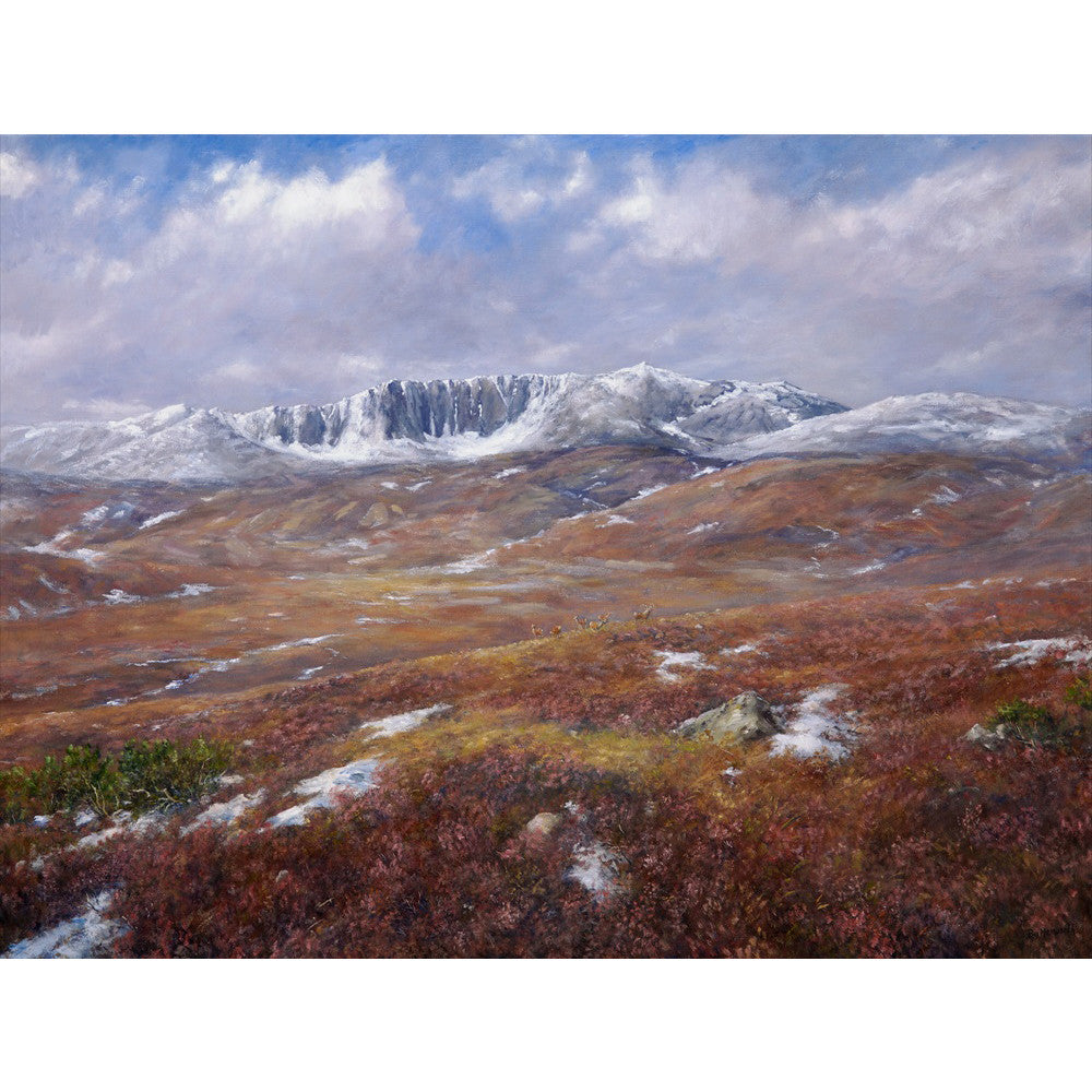Red deer & stags graze on the heather slopes of Lochnagar in the Cairngorms National Park, Royal Deeside, Scotland. This Scottish Fine art giclee print is limited to 100 copies. Signed by the artist Howard Butterworth 