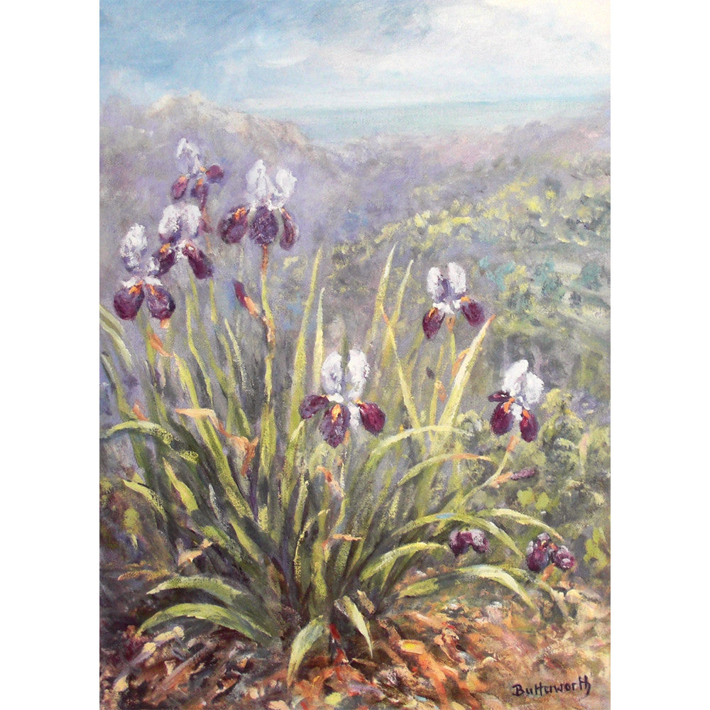 'Irises at Guadalest' - Fine Art Print of Spanish Flowers