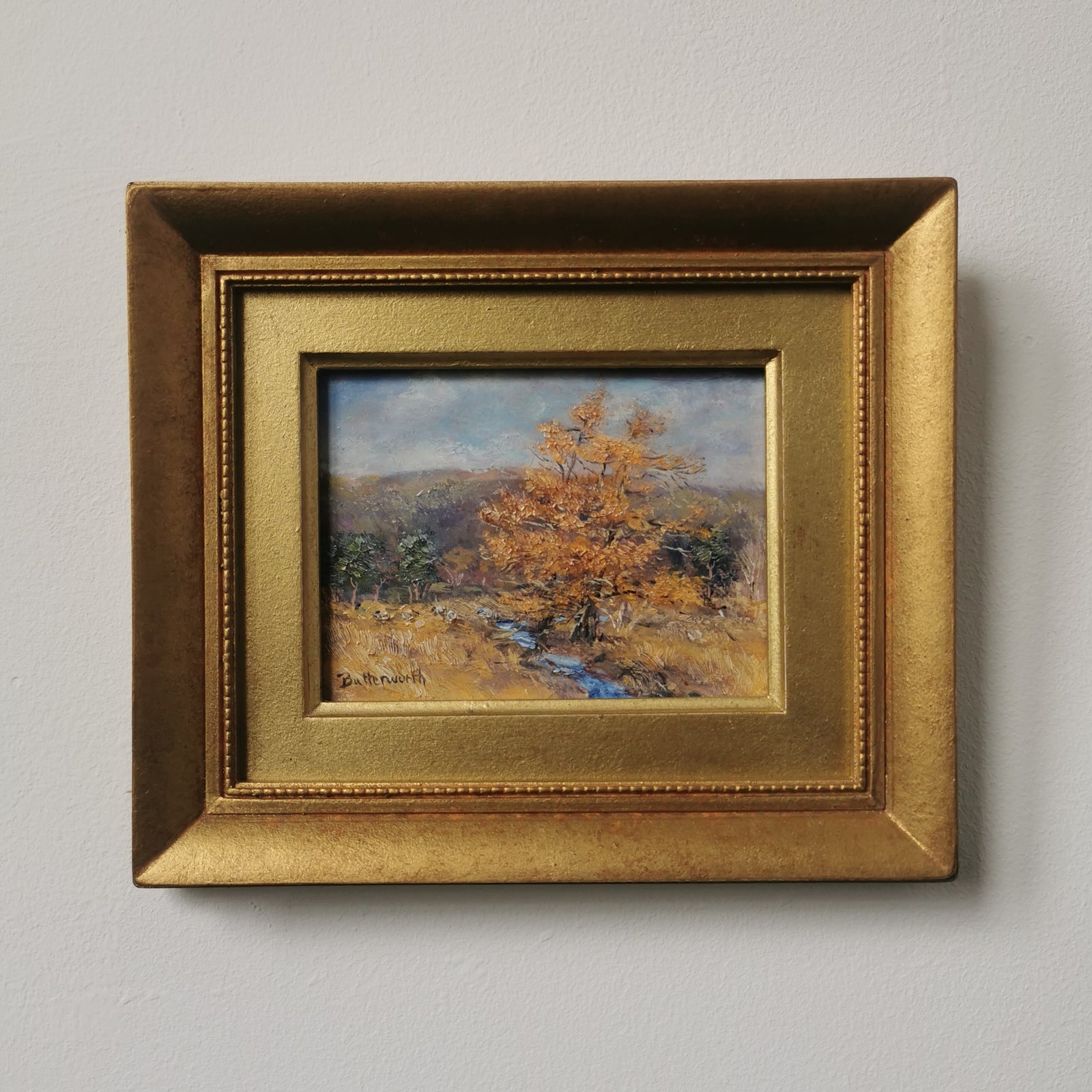 Larches near Ballater