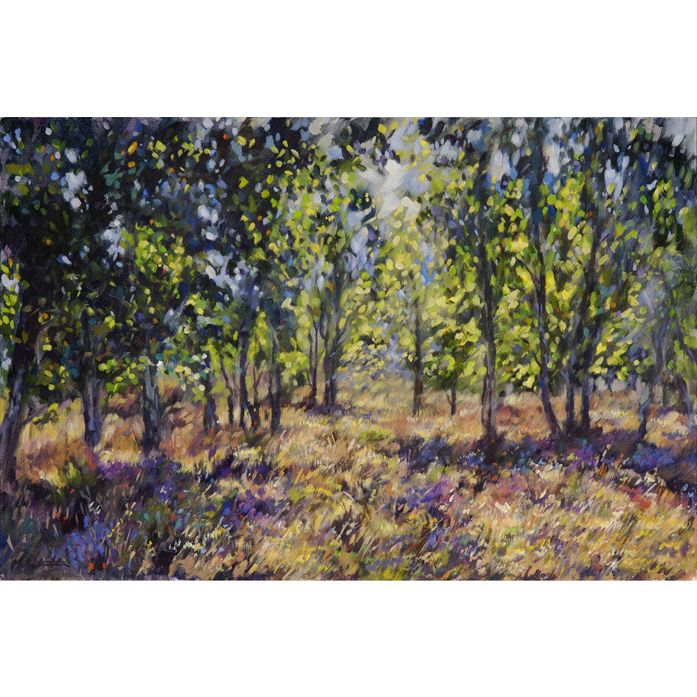 'Midsummer Daydream' - Fine Art Print