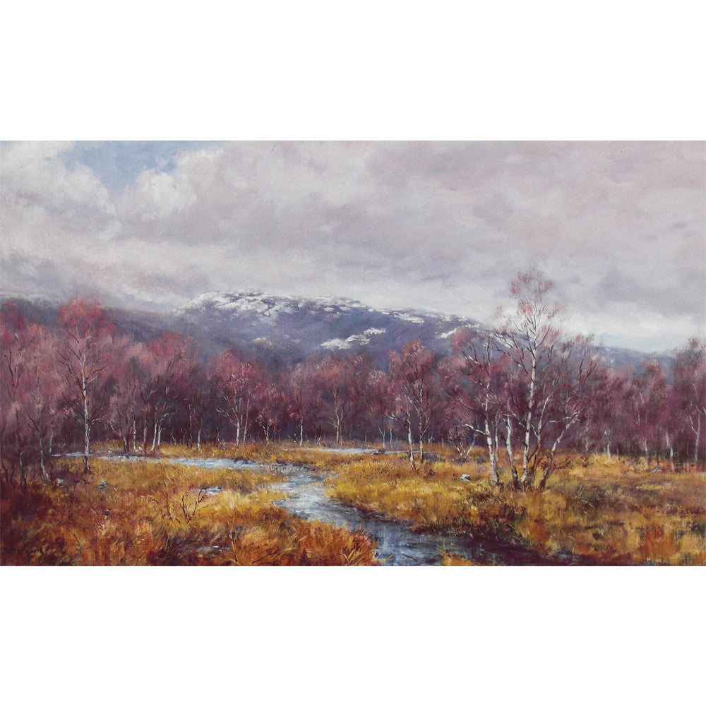 Patches of snow on the tops of Morven provide the back drop to the birches of the Muir of Dinnet close to Loch Kinnord by Howard Butterworth a well known scottish artist from Royal Deeside.