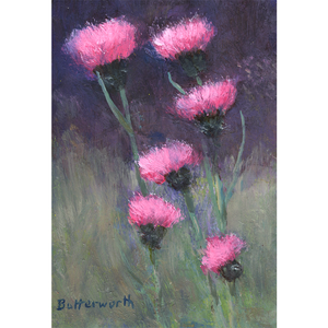Melancholy Thistle painted by Howard Butterworth in his Glenmuick garden on Royal Deeside