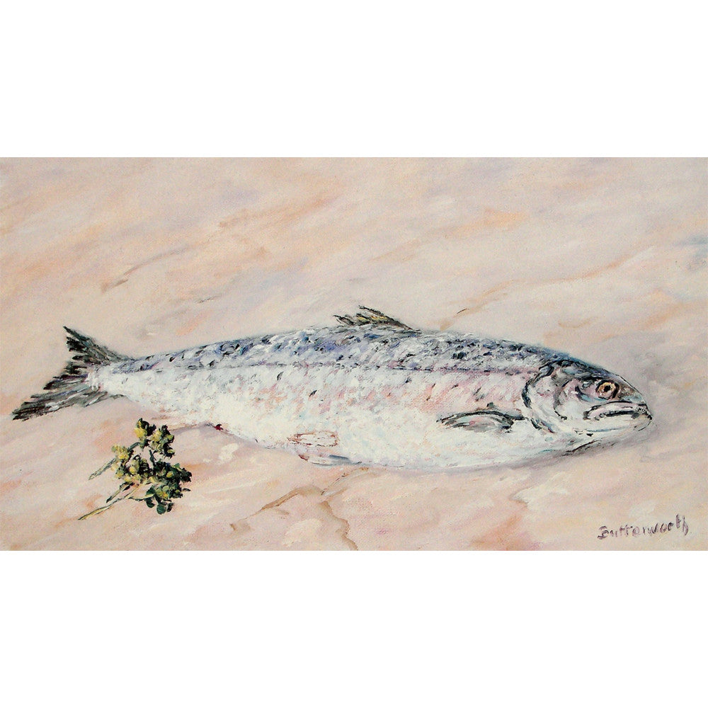 'One for the pot' - Fine Art Print of a Fish
