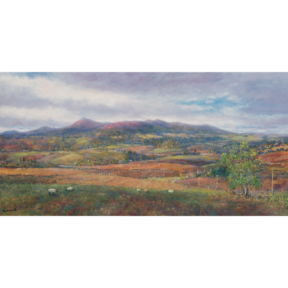 'Over the fields and far away' - Fine Art Print of Bennachie
