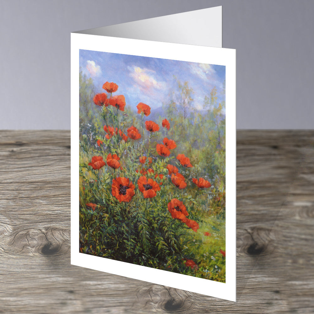 Poppies in Glenmuick