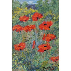 Poppies and Broom